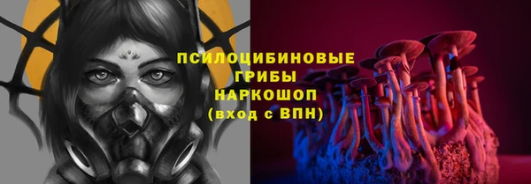 кокаин Каменка