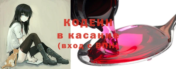 стаф Каменск-Шахтинский