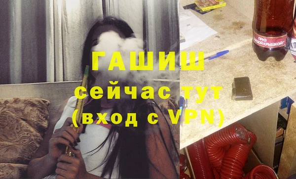 стаф Каменск-Шахтинский