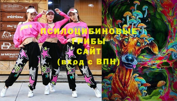 кокаин Каменка