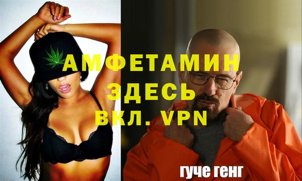 стаф Каменск-Шахтинский