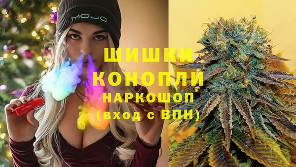 стаф Каменск-Шахтинский