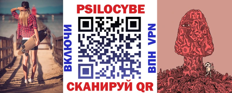 Купить  Вытегра  Галлюциногенные грибы Psilocybine cubensis 
